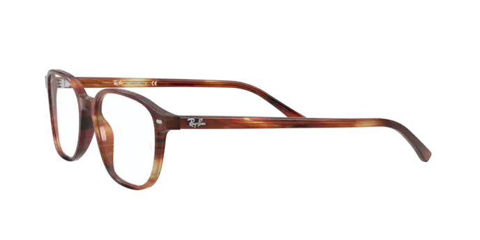 Ray-Ban Leonard Eyeglasses RX5393 2144