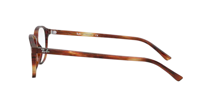 Ray-Ban Leonard Eyeglasses RX5393 2144