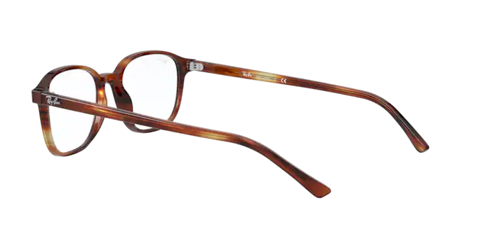 Ray-Ban Leonard Eyeglasses RX5393 2144