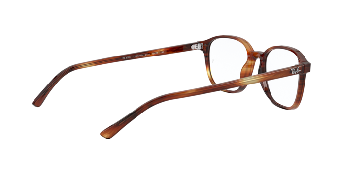 Ray-Ban Leonard Eyeglasses RX5393 2144