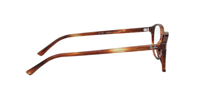 Ray-Ban Leonard Eyeglasses RX5393 2144