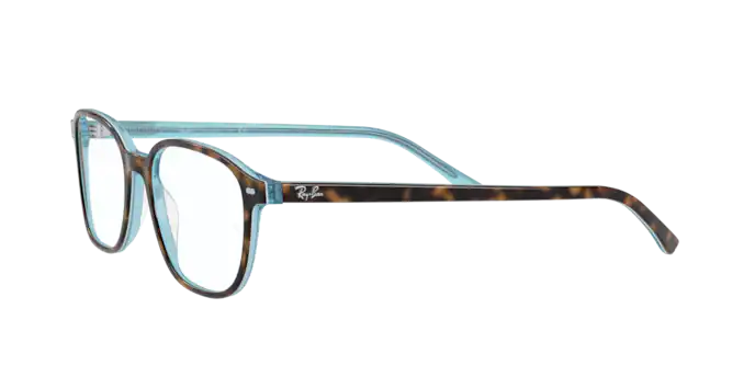 Ray-Ban Leonard Eyeglasses RX5393 5883