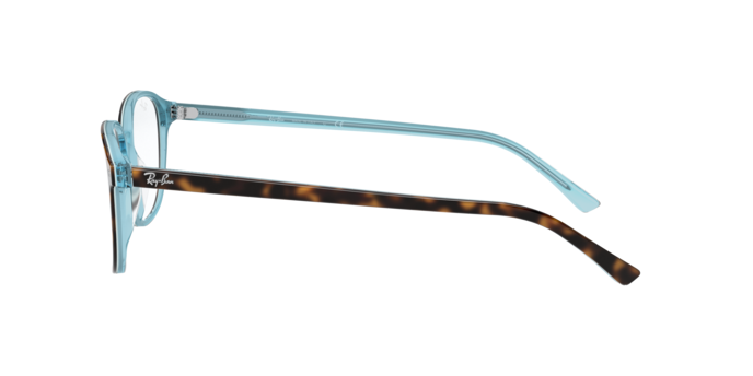 Ray-Ban Leonard Eyeglasses RX5393 5883