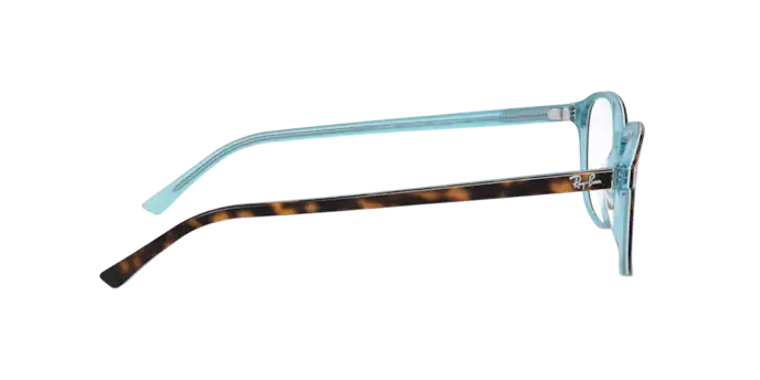 Ray-Ban Leonard Eyeglasses RX5393 5883