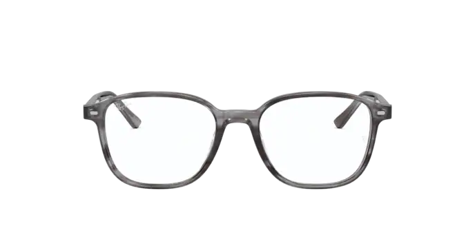 Ray-Ban Leonard Eyeglasses RX5393 8055