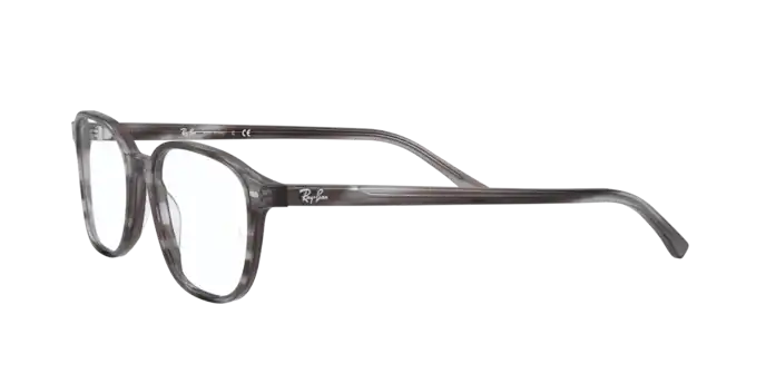 Ray-Ban Leonard Eyeglasses RX5393 8055