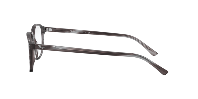 Ray-Ban Leonard Eyeglasses RX5393 8055