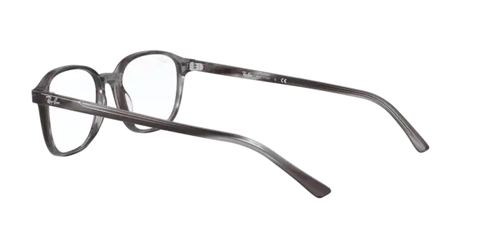 Ray-Ban Leonard Eyeglasses RX5393 8055