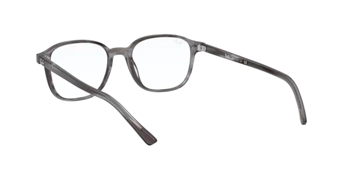 Ray-Ban Leonard Eyeglasses RX5393 8055