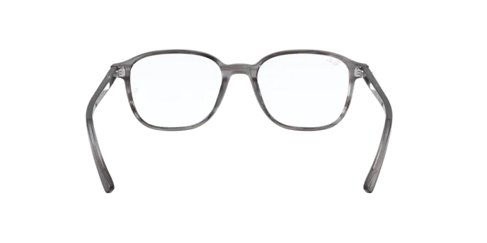 Ray-Ban Leonard Eyeglasses RX5393 8055