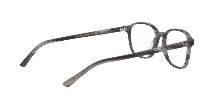 Ray-Ban Leonard Eyeglasses RX5393 8055