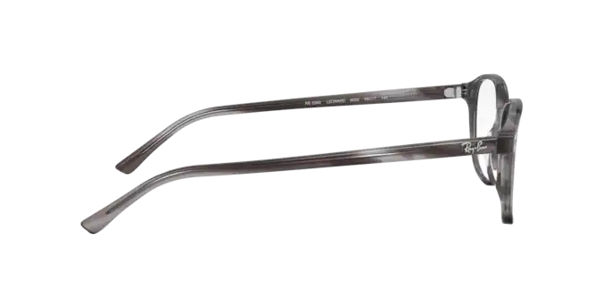 Ray-Ban Leonard Eyeglasses RX5393 8055