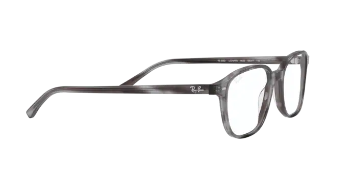Ray-Ban Leonard Eyeglasses RX5393 8055