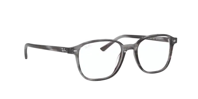 Ray-Ban Leonard Eyeglasses RX5393 8055