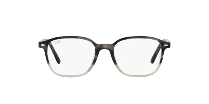 Ray-Ban Leonard Eyeglasses RX5393 8106