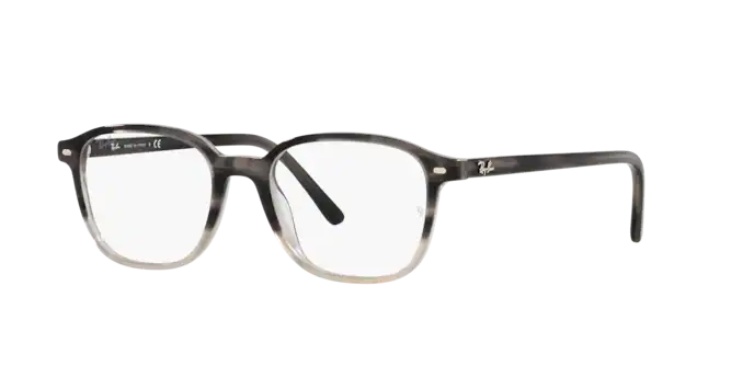 Ray-Ban Leonard Eyeglasses RX5393 8106