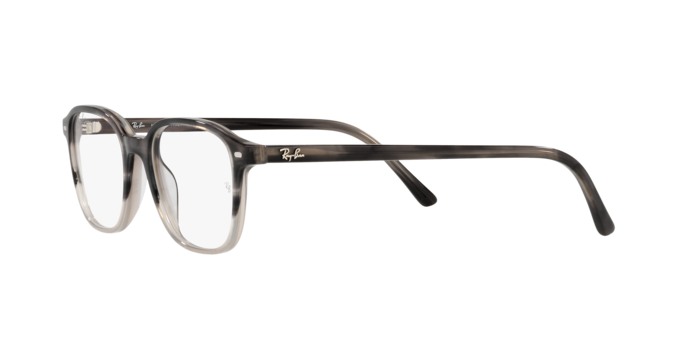 Ray-Ban Leonard Eyeglasses RX5393 8106