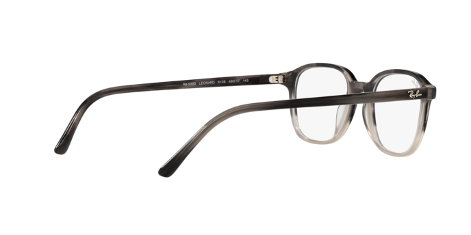 Ray-Ban Leonard Eyeglasses RX5393 8106