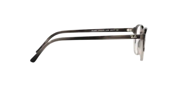 Ray-Ban Leonard Eyeglasses RX5393 8106
