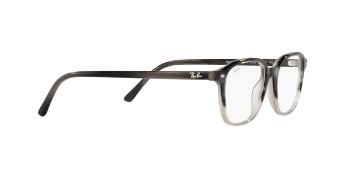 Ray-Ban Leonard Eyeglasses RX5393 8106