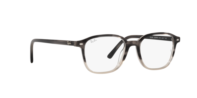 Ray-Ban Leonard Eyeglasses RX5393 8106