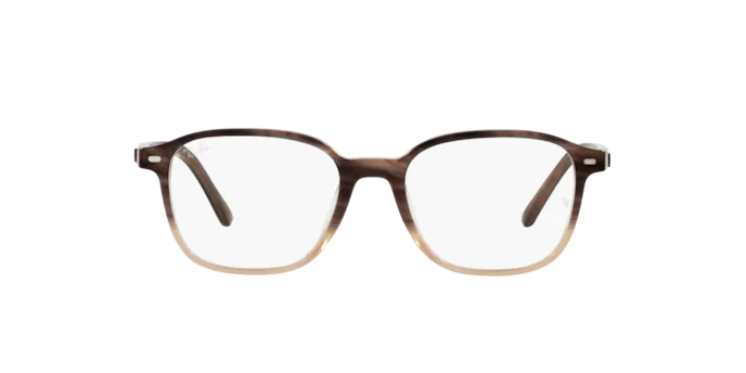 Ray-Ban Leonard Eyeglasses RX5393 8107