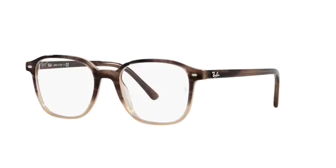 Ray-Ban Leonard Eyeglasses RX5393 8107