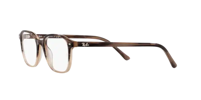 Ray-Ban Leonard Eyeglasses RX5393 8107