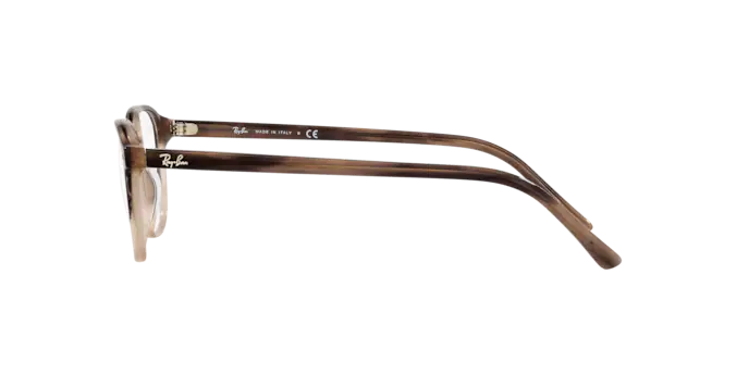 Ray-Ban Leonard Eyeglasses RX5393 8107