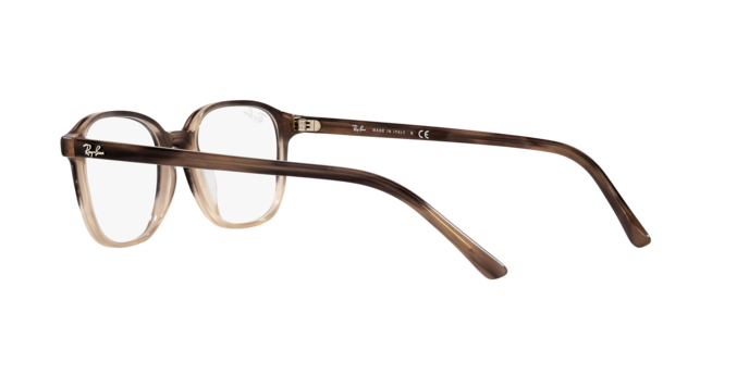 Ray-Ban Leonard Eyeglasses RX5393 8107