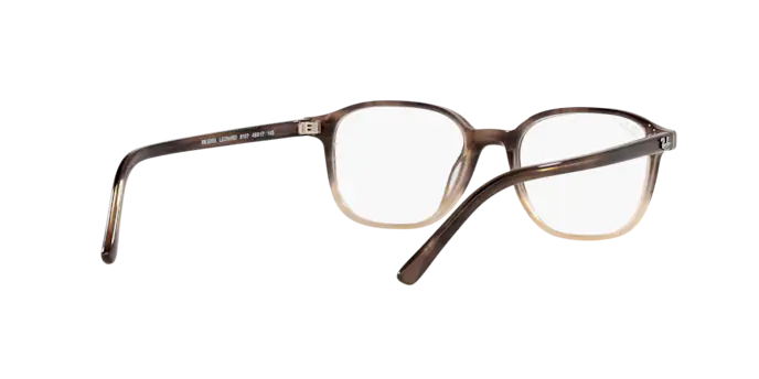 Ray-Ban Leonard Eyeglasses RX5393 8107