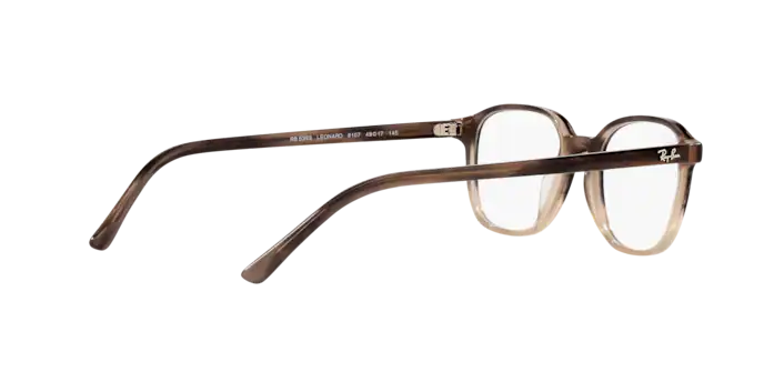 Ray-Ban Leonard Eyeglasses RX5393 8107