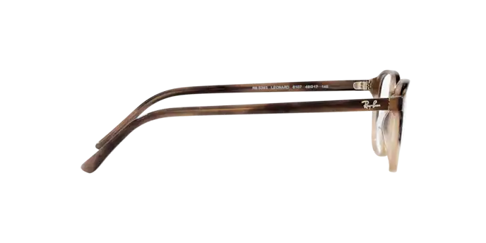 Ray-Ban Leonard Eyeglasses RX5393 8107