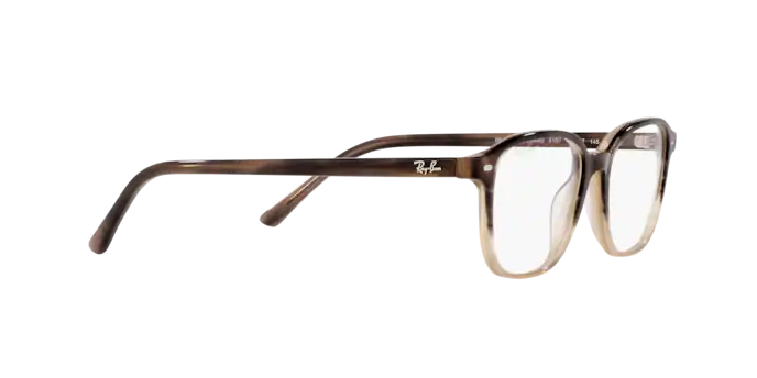 Ray-Ban Leonard Eyeglasses RX5393 8107