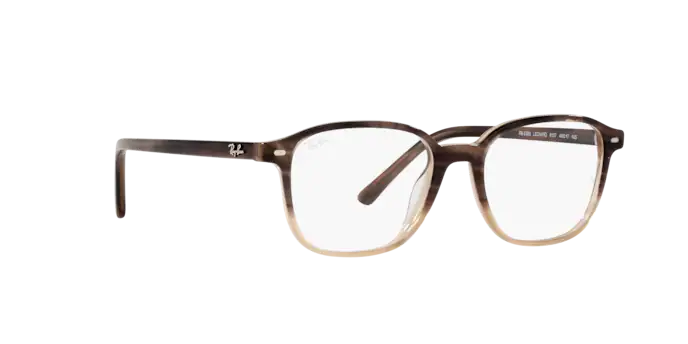Ray-Ban Leonard Eyeglasses RX5393 8107