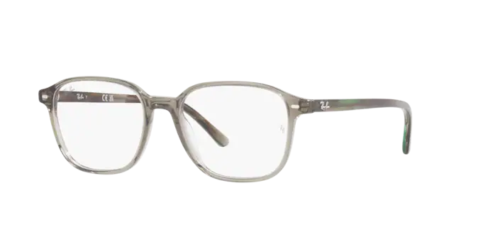 Ray-Ban Leonard Eyeglasses RX5393 8178