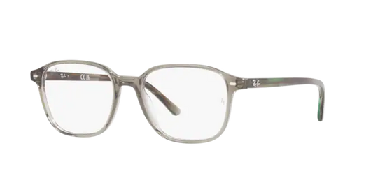 Ray-Ban Leonard Eyeglasses RX5393 8178