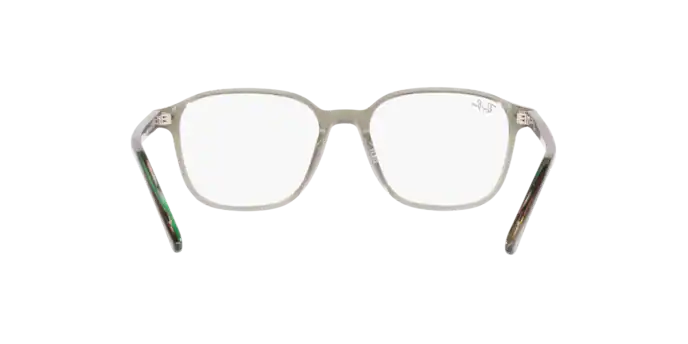 Ray-Ban Leonard Eyeglasses RX5393 8178