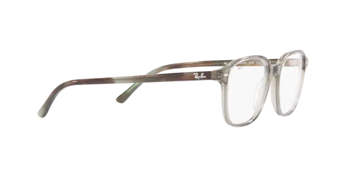 Ray-Ban Leonard Eyeglasses RX5393 8178