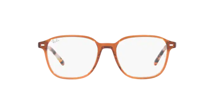 Ray-Ban Leonard Eyeglasses RX5393 8227