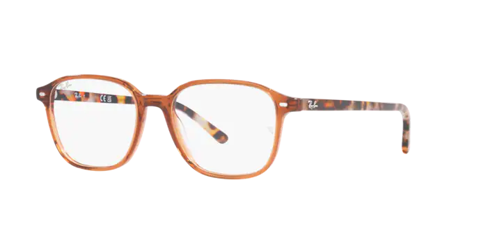 Ray-Ban Leonard Eyeglasses RX5393 8227