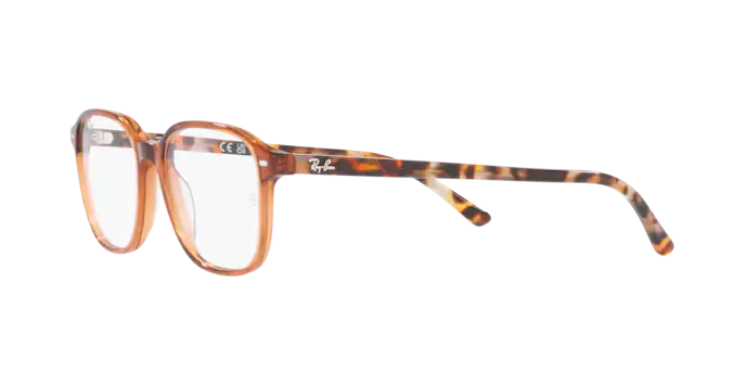 Ray-Ban Leonard Eyeglasses RX5393 8227