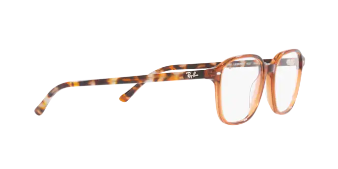 Ray-Ban Leonard Eyeglasses RX5393 8227