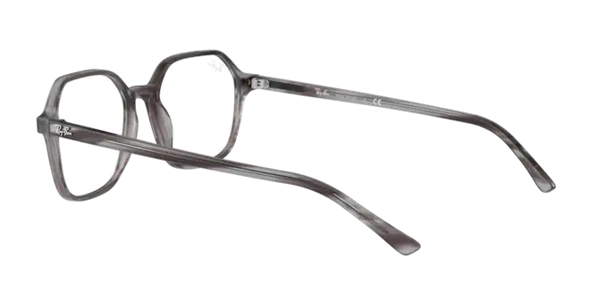 Ray-Ban John Eyeglasses RX5394 8055