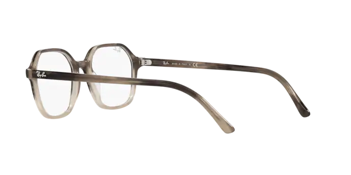 Ray-Ban John Eyeglasses RX5394 8107