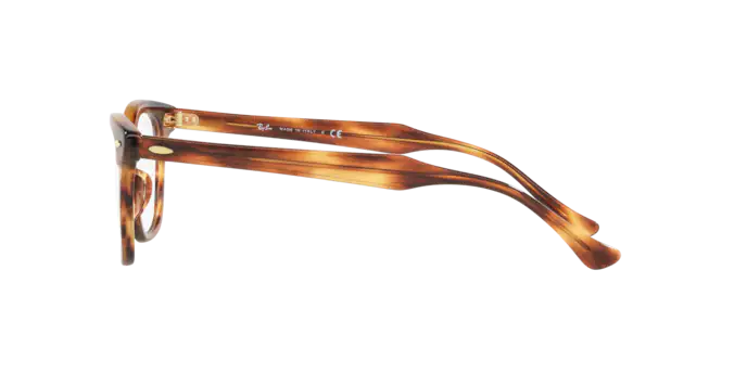 Ray-Ban Hawkeye Eyeglasses RX5398 2144