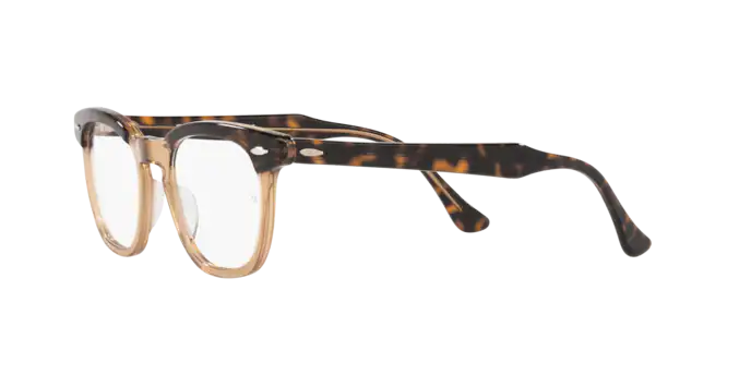 Ray-Ban Hawkeye Eyeglasses RX5398 8109