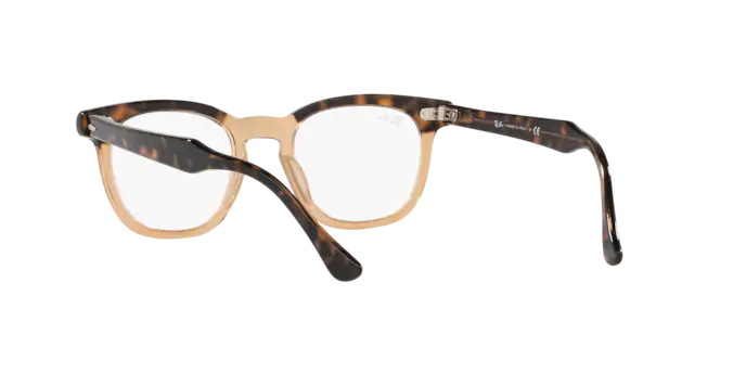 Ray-Ban Hawkeye Eyeglasses RX5398 8109