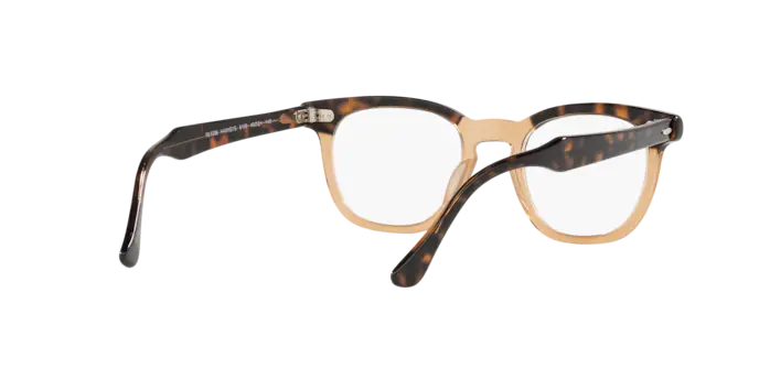 Ray-Ban Hawkeye Eyeglasses RX5398 8109