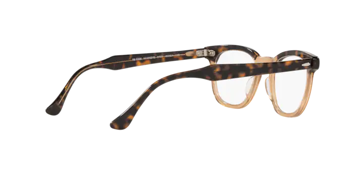 Ray-Ban Hawkeye Eyeglasses RX5398 8109